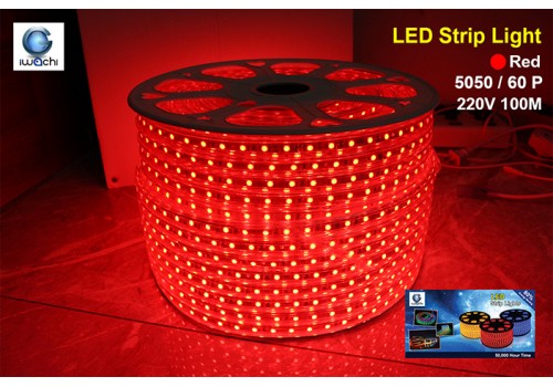 IWACHI-5050-100M-60P-RED